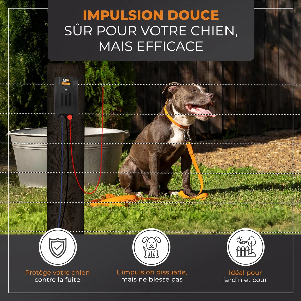 Kit Complet clôture électrique avec 200 m de Ruban - Set Complet avec Appareil Secteur, Mise à la Terre, piquets, testeur LED & isolateurs à Anneau - Idéal pour Chevaux & Animaux sensibles