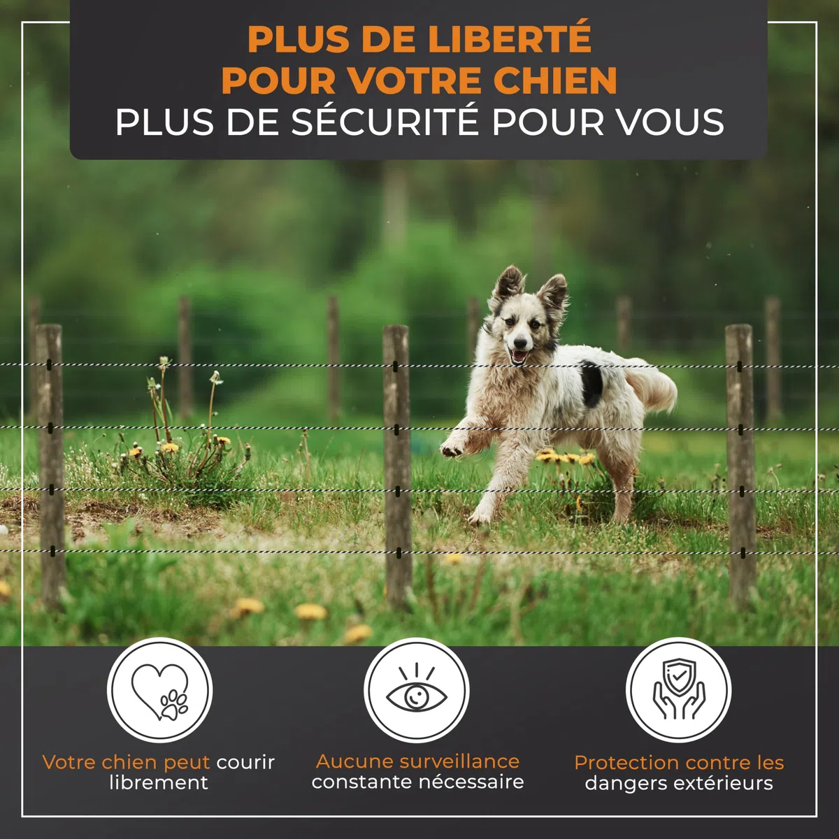 Kit Complet clôture électrique avec 200 m de Ruban - Set Complet avec Appareil Secteur, Mise à la Terre, piquets, testeur LED & isolateurs à Anneau - Idéal pour Chevaux & Animaux sensibles