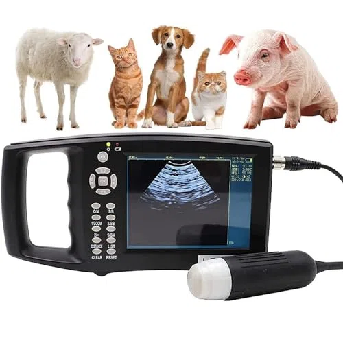 Scanner à ultrasons vétérinaire pour détection de grossesse chez les porcs et les moutons, sonde 3,5 MHz, appareil à ultrasons portable pour vétérinaires, utilisation manuelle