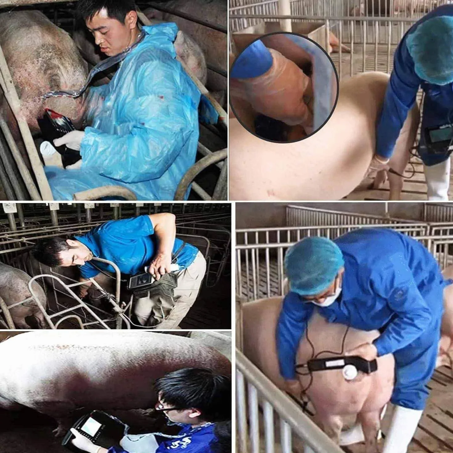 ÉChographe B Portable pour Animaux,Kit VéTéRinaire,Appareil Portable HD pour Tests Gestation,avec Sonde éTanche 3,5 MHz, pour Porcs,Ovins,Chiens,Chats,BéTail Et Animaux Compagnie