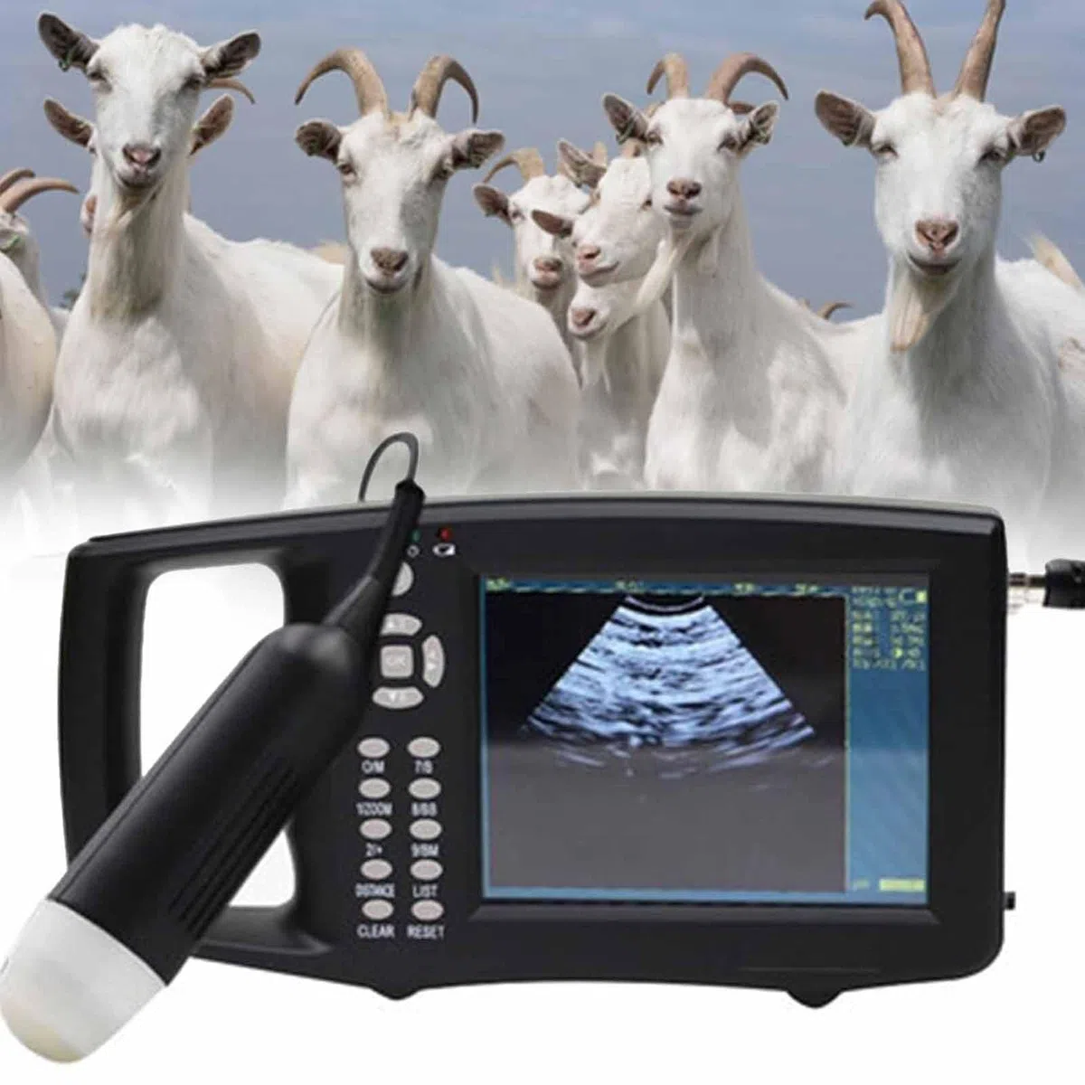 Scanner à Ultrasons Vétérinaire Portable Echographie Appareil Grossesse Machine à Ultrasons Vétérinaire avec Sonde 3,5 MHz,écran Couleur Tft 5,6 Pouces,pour Porcs Et Moutons