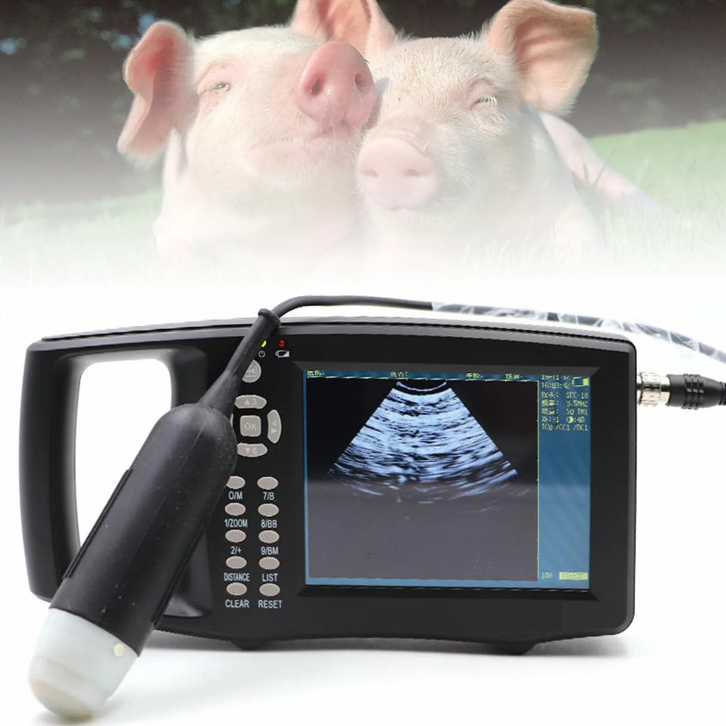 Échographe Vétérinaire, échographe Manuel, avec Sonde 3,5 MHz, échographe B pour Animaux de Ferme, Porcs, Chèvres et Gestation