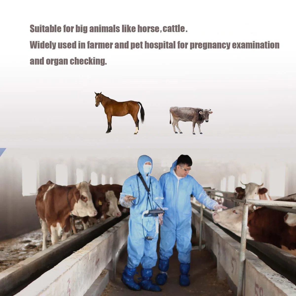 Échographe Vétérinaire Portable Avec Sonde 3,5 Mhz,Pour Porcs Et Ovins Echographie Appareil Grossesse Multifonction Ultrason B Portable Avec Affichage LED Pour Élevage (Sonde rectale)