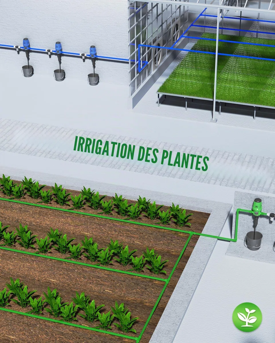 NEWTRY Pompe doseuse Injecteur d'engrais goutte à goutte, réglable de 0,2 à 2%, doseur de liquide raccord standard universel de 3/4" pour jardin, irrigation et système hydroponique, ferme