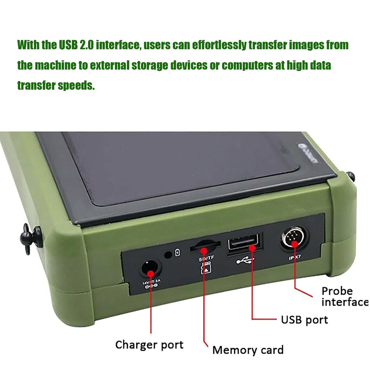 Échographe Vétérinaire Portable Avec Sonde 3,5 Mhz,Pour Porcs Et Ovins Echographie Appareil Grossesse Multifonction Ultrason B Portable Avec Affichage LED Pour Élevage (Sonde rectale)